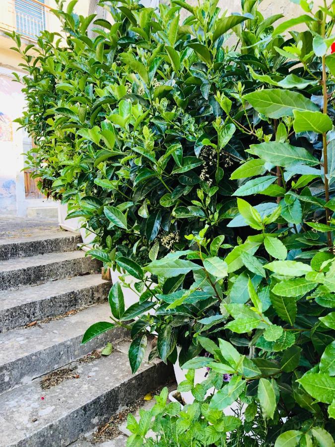 A Casa Da Anita Villa Palazzolo Acreide Buitenkant foto
