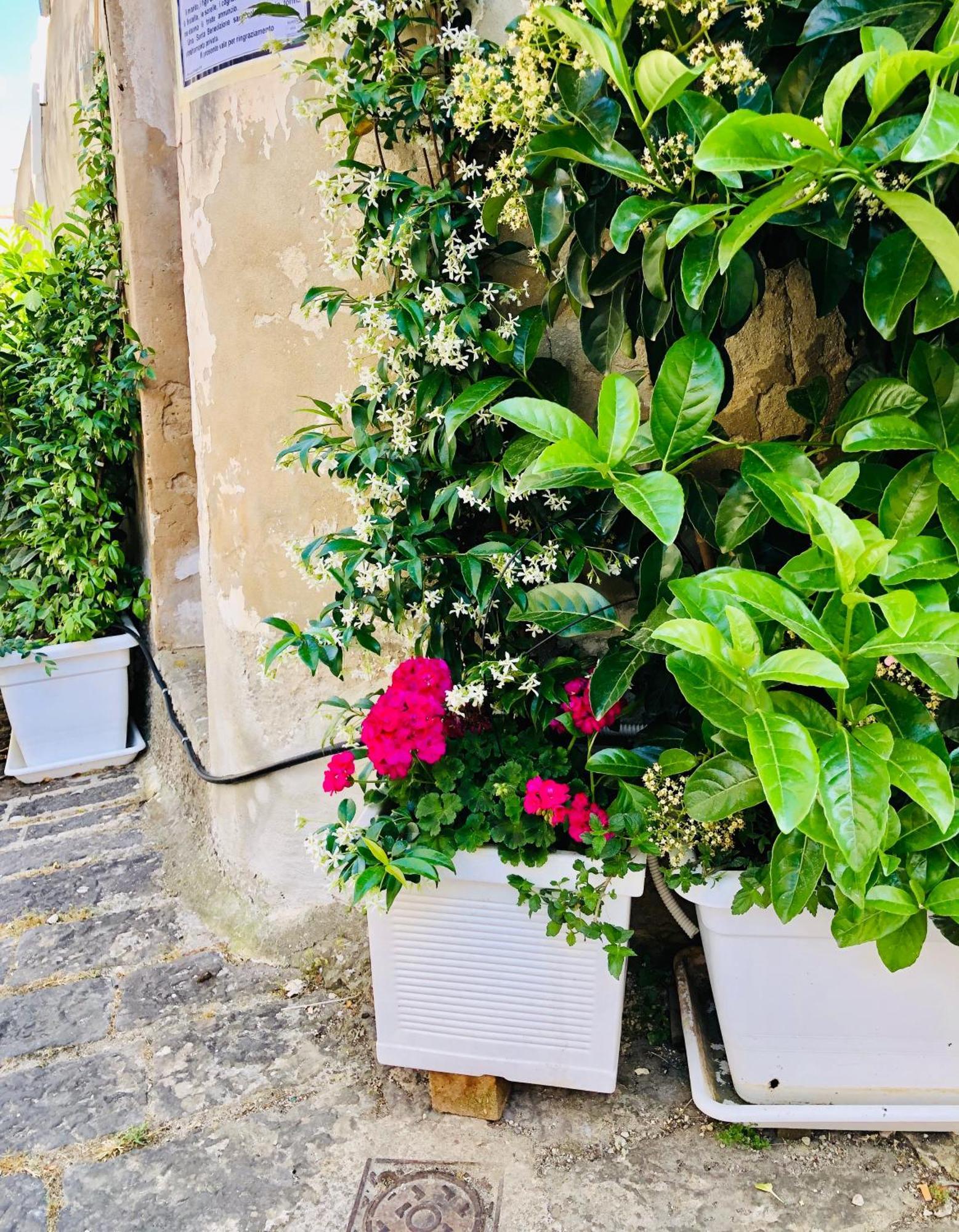 A Casa Da Anita Villa Palazzolo Acreide Buitenkant foto